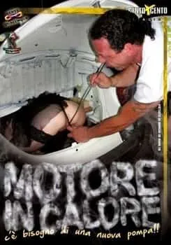 Motore in calore