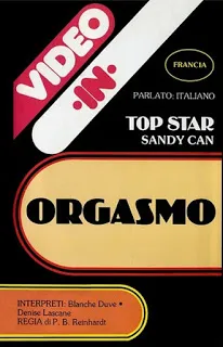 Orgasmo Proibito Video XXX Streaming