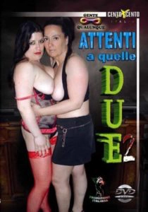 Attenti a quelle due 2 CentoXCento Streaming : Quando quelle 2 si mettono insieme fanno cose mai