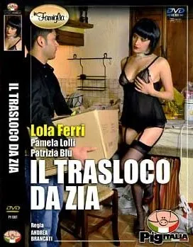 Il Trasloco da Zia Porno Streaming