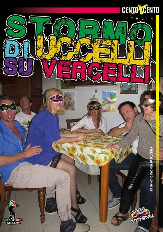 Stormo di uccelli su Vercelli